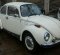  Volkswagen Beetle 1303 2974-6