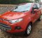 2014 Ford EcoSport dijual-4