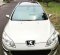 Peugeot 407  2005 Wagon dijual-3