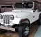 Jual Jeep CJ 7  1981-4