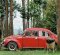 Jual Volkswagen Beetle  kualitas bagus-5
