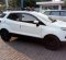 Jual Ford EcoSport 2014 termurah-3