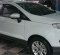 Jual Ford EcoSport 2014 Titanium di DKI Jakarta-10