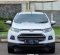 Ford EcoSport Trend 2015 SUV dijual-4