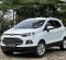 Ford EcoSport Titanium 2014 SUV dijual-5