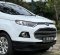 Ford EcoSport Titanium 2014 SUV dijual-2