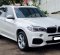 Jual BMW X5 2014 xLine xDrive 3.5i di DKI Jakarta-5