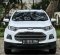 Ford EcoSport Titanium 2014 SUV dijual-10