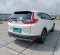 Jual Honda CR-V 2019 Turbo Prestige di DKI Jakarta-4