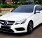 Jual Mercedes-Benz E-Class 2013 250 di DKI Jakarta-6